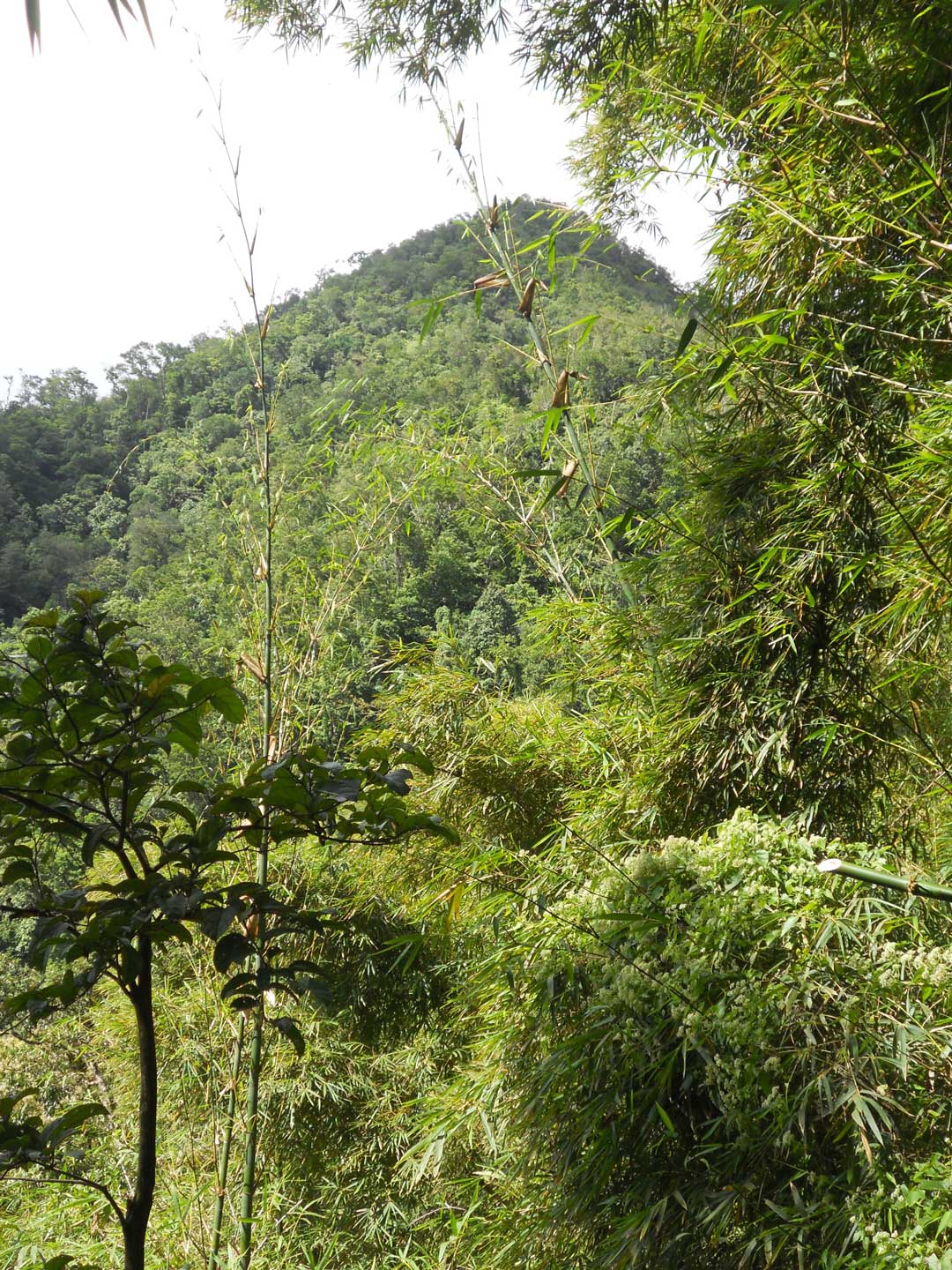 Look-Out-Bump-Cunha-Cunha-Pass-Trail-SOtuokon