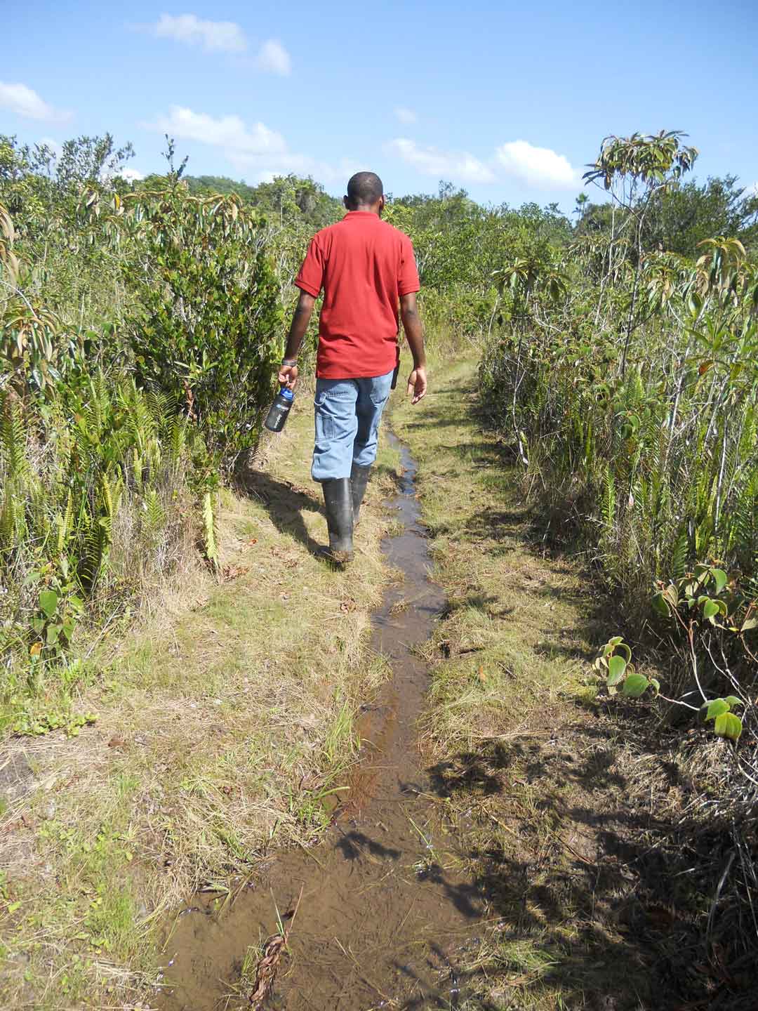 Mason-River-wetland-SOtuokon2013